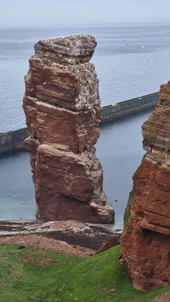  (c) Lloyd 2026: Klippen von Helgoland